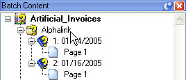 An image showing folder fields in the Validation module.